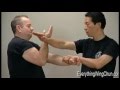 Preview - Samuel Kwok - Wing Chun Vol 2 - CHUM KIU