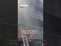 She Risked Her Own Life To Save Her Two Dogs From A Massive Fire. #shorts #accidents #fire