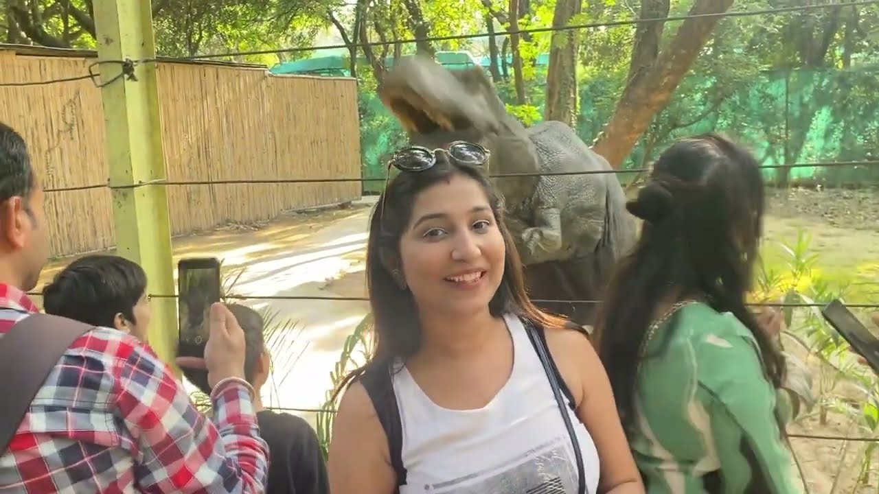 Chhatbir Zoo in Chandigarh Complete Guide | Famous Place in Chandigarh | Dinosaur Park, Lion Safari