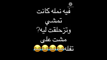 نكت سامجه 