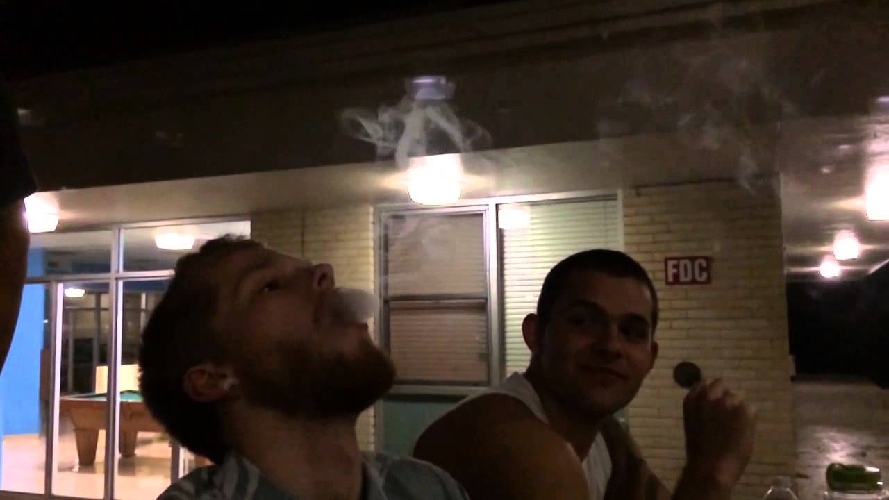 spring-semester-at-eckerd-college-youtube