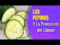 Beneficios de Los pepinos y como ayuda en la prevención del cancer