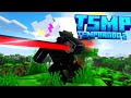 Em Busca de Respostas 🔍【TSMP 2 - #02】