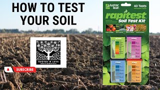 How to Test Your Soil from Home | Luster Leaf Rapitest Soil Test Kit