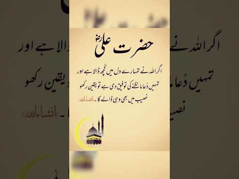 مولا علی شیر خدا رضی اللہ تعالی عنہ کا فرمان ہے