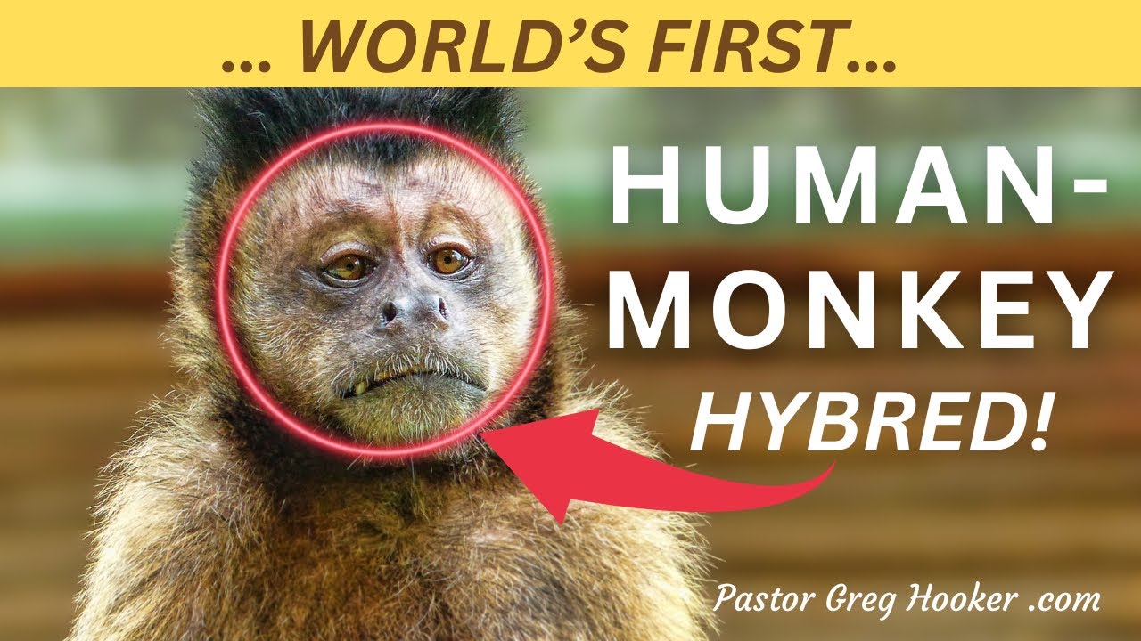 ✝️ WORLD’S FIRST HUMAN-MONKEY CREATED IN LABORATORY - Pastor Greg Hooker