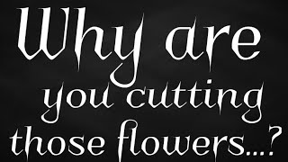Why are u cutting those flowers...? (Meme?) (desc)