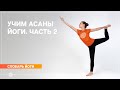 Учим асаны йоги. Часть 2 - Фотогалерея oum.ru