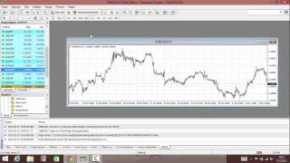 Forex ten para kazananlar
