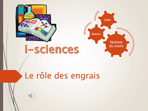 Vidéo: Qu'est-ce qui peut diminuer en raison des engrais dans les cours d'eau?