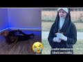 TIKTOKS WITH CRAZY VINE ENERGY||Tiktok compilation