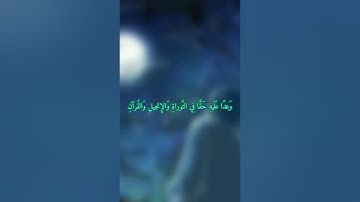 سورة التوبة ، القارئ: فايح الحارثي 🌿.
