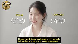 [BoANOSS] BoA - Esquire Korea Interview Apr 2024 (eng sub)