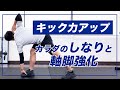 【サッカー】キック力を上げるために必要なトレーニング