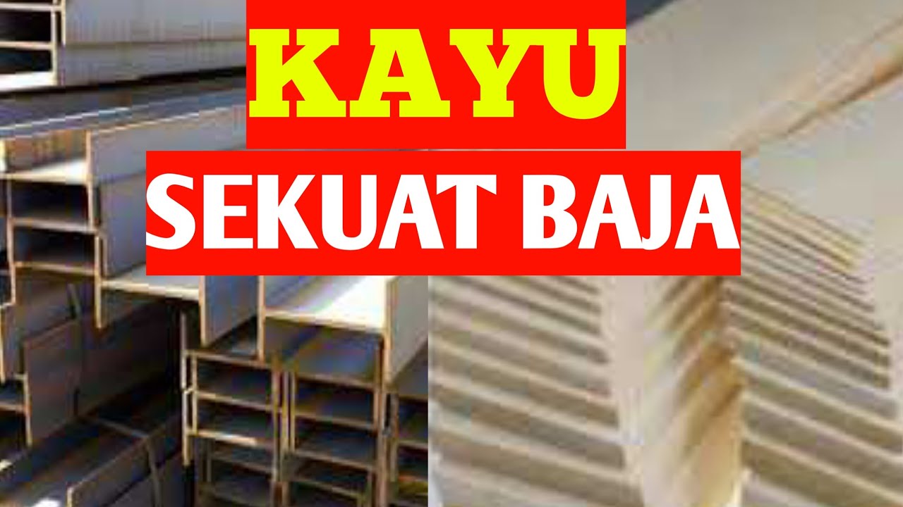 Kayu balsa || kayu teringan dan terkuat