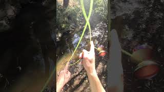 Slo-mo Hooks with Yoyofriends Peregrine🪝#yoyoing #yoyotricks #slomo #nature #jazz