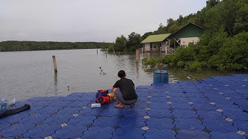 Du câu Cần Giờ - bè nổi Dần Xây (08/2017)