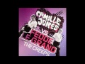 Camille Jones vs Fedde Le Grand - The Creeps (Vandalism Remix)