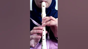 شمس الزناتي فلوت ريكوردر عزف بطئ للتعليم 