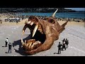 Scariest Sea Monster Washed Up on The Beach