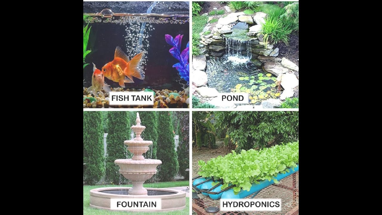 Fountain motor Unboxing Fountain motor review Daily Life YouTube