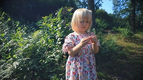 Beans on Toast - Humans