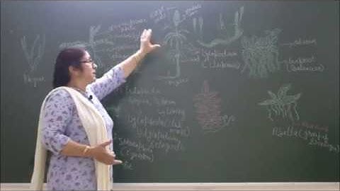 Bio-XI-3-12 Classes of pteridophyte,   Pradeep Kshetrapal channel