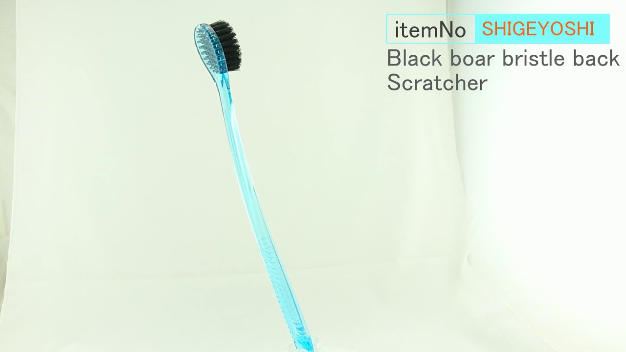 BE PLUS Black boar bristle back Scratcher SHIGEYOSHI