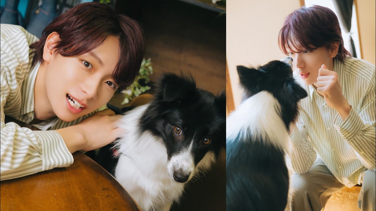 龍宮城・冨田侑暉さんが遊びにきてくれました！（ボーダーコリー｜月刊わんこ撮影オフショット）