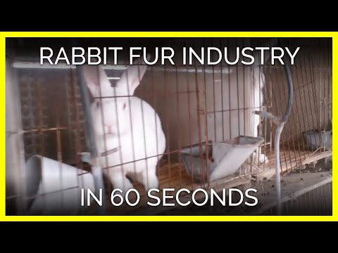 Rabbits Skinned Alive in the Chinese Fur Trade