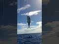 낚시 하는 사람들은 3번 보는 영상 #ai #fishing #fish
