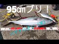 ショアジギングのタックル紹介　これでブリやメジロ釣れます！　貝塚人工島　貝塚人工島釣果　釣果　青物　ブリ　メジロ　サゴシ　サワラ　釣り　コルトスナイパー　ナスキー ポポパパ