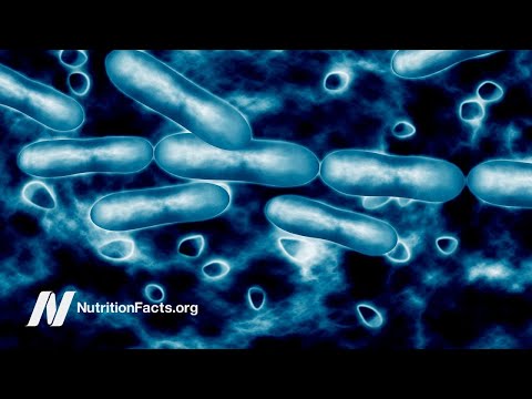 Antibiotic-Resistant E. coli and UTIs in Vegetarians vs. Meat Eaters