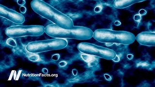 AntibioticResistant E. coli and UTIs in Vegetarians vs. Meat Eaters