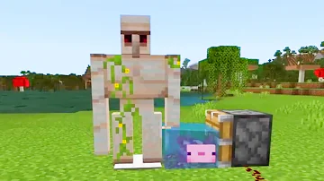 ウーパールーパーマイクラドズル