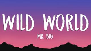 Mr. Big - Wild World (Lyrics)