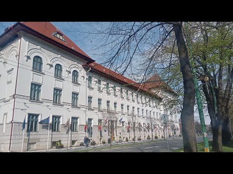 Primăria Municipiului Timișoara ? Timișoara City Hall