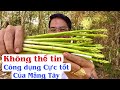 Không thể tin Công dụng Cực tốt của Măng Tây Giúp Ngừa dị tật thai nhi, loãng xương.PHAN HẢI Channel