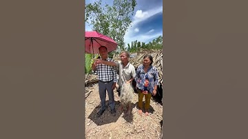 Không Cho Xây Nhà! Con Chủ Đất Dọa Phá Tan Nếu Còn Giúp Vợ Chồng Nghèo U58!