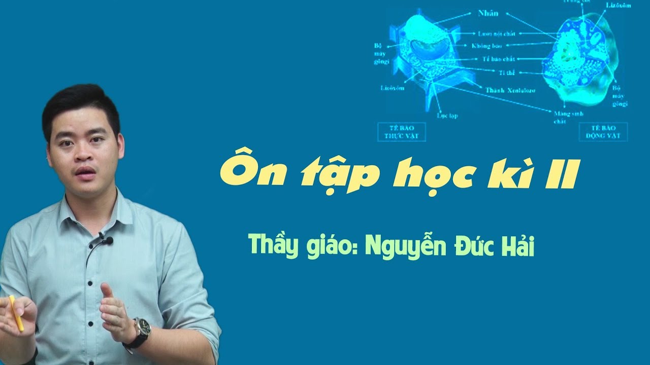 Ôn tập học kỳ II – Sinh học 10 – Thầy Nguyễn Đức Hải – GV Tuyensinh247.com - youtube