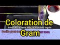 Coloration de gram cocci gram positif et bacilles gram ngatif