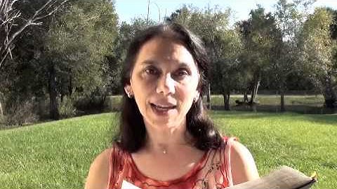 Workbook Lesson 298 from A Course in Miracles with Amy  Torres