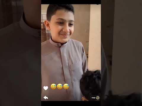 ناهي بعد غياب