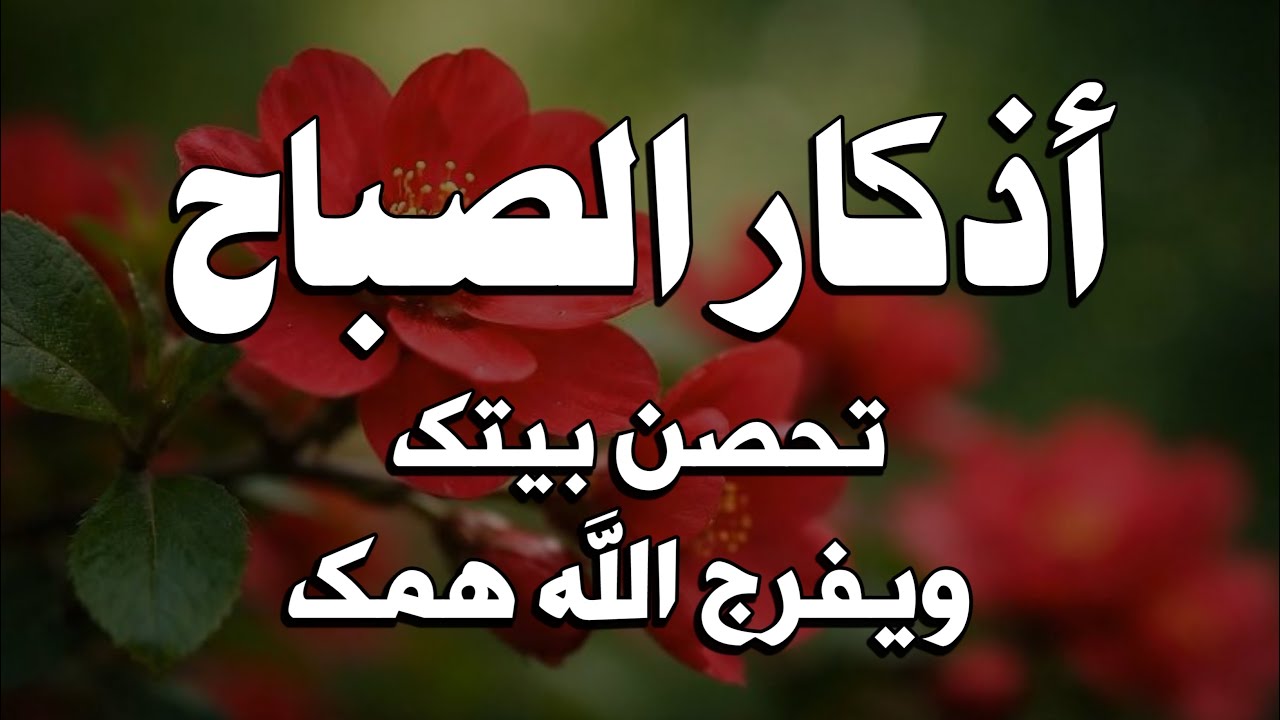 Morning Adhkar – Unmatched Peace for the Heart 🤍✨ | Recited by Ala Aqal 🎧