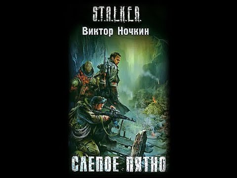 S.T.A.L.K.E.R. Слепое пятно - Часть первая. Виктор Ночкин #аудиокнига #сталкер