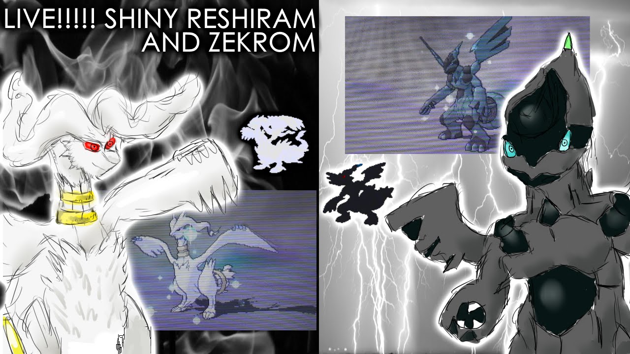 🔴LIVE- DUEL SHINY HUNTING ZEKROM  POKEMON BLACK & WHITE!!!!!! 