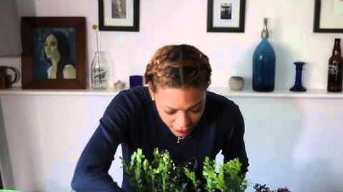 How to Plant a Window Box by The Balcony Gardener