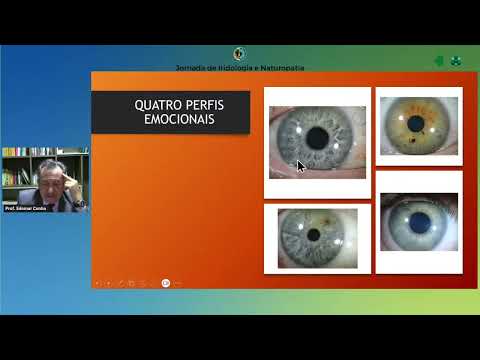 IRIDOLOGIA E EMOÇÕES SEUS OLHOS REVELAM SEU PADRÃO DE COMPORTAMENTO