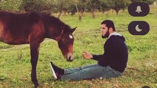 My love for Horses 🐴 Islam Makhachev daily vlog