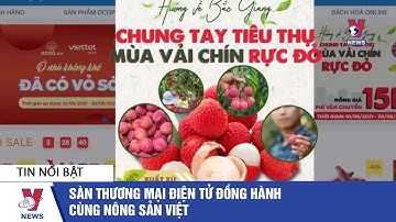 Các sàn TMĐT đồng hành cùng vải thiều Bắc Giang - VNEWS